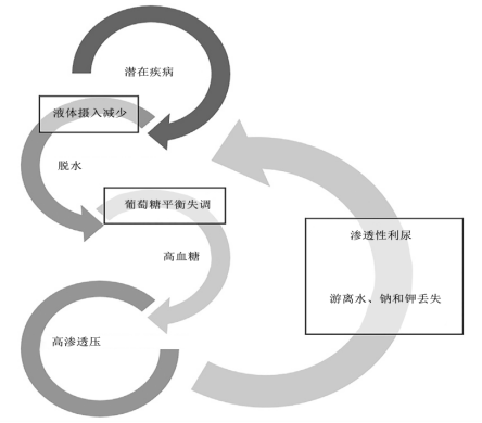 图片预览